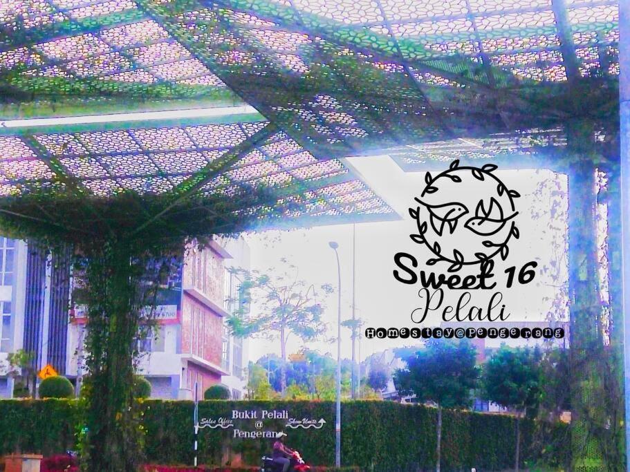 Sweet 16 Pelali Homestay Pengerang Buitenkant foto