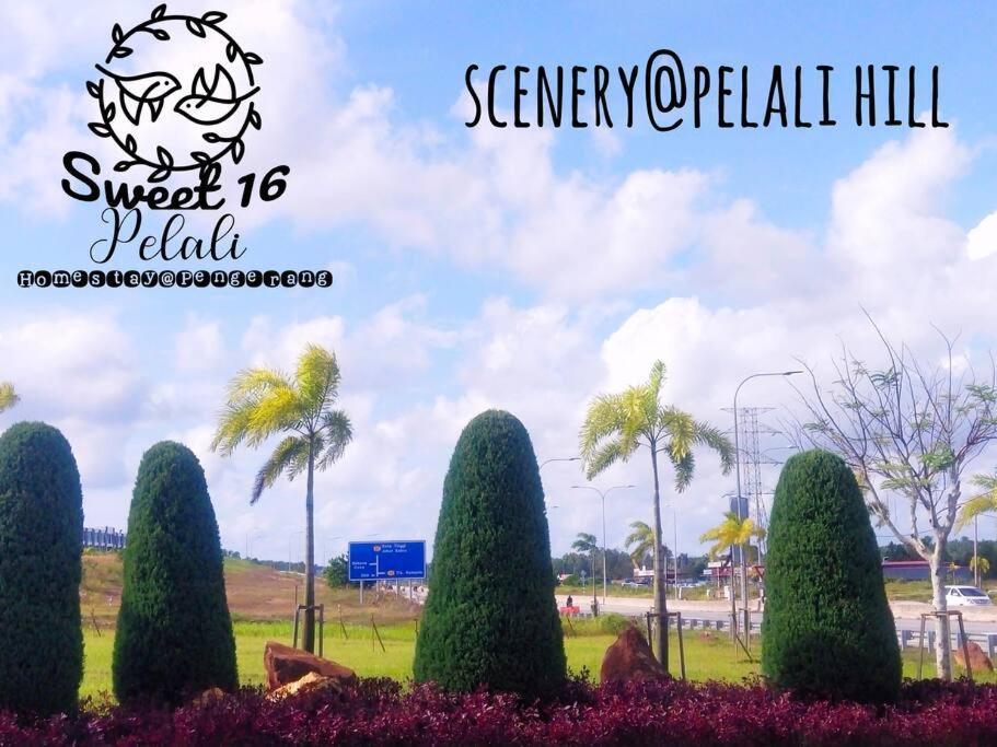 Sweet 16 Pelali Homestay Pengerang Buitenkant foto